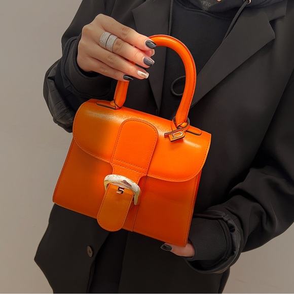 Delvaux Brillant MM Mandarine Handbag - Picture 2 of 12